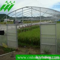 Economical Plastic Film Greenhouse