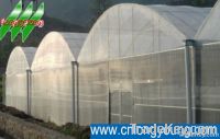 Easy installed Plastic Multi- span Greenhouse