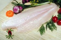 Well-trimmed Pangasius Fille - T