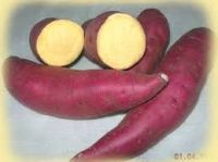 FRESH JAPANESE SWEET POTATO