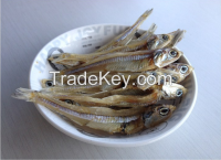 DRIED ANCHOVY FISH, DRIED SPRAT, SUN