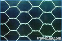 Hexagonal Wire Netting