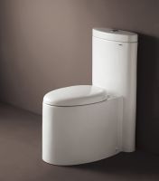 ceramic toilet,tile,basin,sink,urinal,squat pan,plate