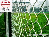 Chian Link Mesh