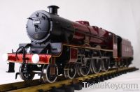 G scale live steam model trains