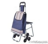 portable and foldable supermarket shopping cart
