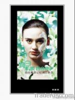 https://cn.tradekey.com/product_view/32-Inch-Lcd-Digital-Poster-Advertising-Player-2255732.html