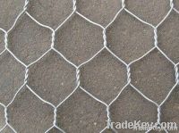 Hexagonal wire mesh