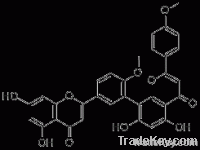 Isoginkgetin