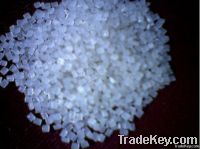 PP Copolymers