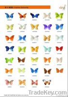 feather butterfly, wedding butterfly