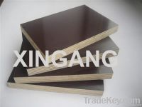 Film-faced Plywood