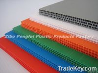 PP Flute Sheet/PP Flute Board