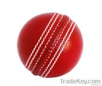Cricket Hard Balls