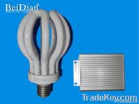 BeiDian  ballast separated energy saving lamp