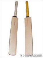 Cricket Bat