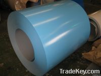 Color Coated Steel