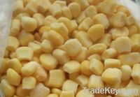 IQF Sweet Corn Kernels