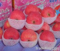 Fresh Apple