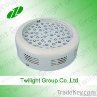 50W UFO LED Grow light and led aquarium lamp