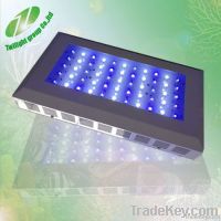 Discount dimmable led light for aquarium corals with aquarium corals