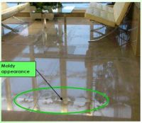 Cleaner From Singapore