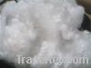 Colored Polyacrylonitrile Staple Fiber