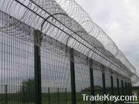 prison fence From China