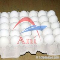 Chicken Eggs