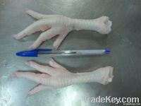  Export Chicken Paw | Chicken Feet Suppliers | Poultry Feet Exporters | Chicken Feets Traders | Processed Chicken Paw Buyers | Frozen Poultry Paw Wholesalers | Low Price Freeze Chicken Paw | Best Buy Chicken Paw | Buy Chicken Paw | Import Chicken Paw | Ch
