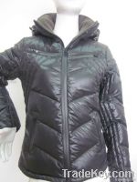 latest fashion women winter coat