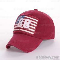 baseball cap(TD-0011)