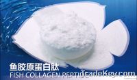 Fish Collagen Peptide