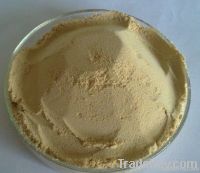 Seaweed Extract Powder