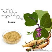 Kudzu Root Extract