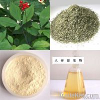 Ginseng extract-ginsenoside