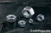 Carbon Steel  Hex Nuts
