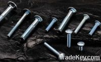 Carriage Bolts
