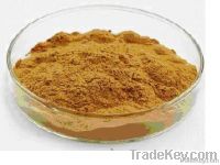 Kudzu Root Extract (Pueraria extract)