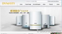 wall mounted gas boiler