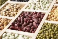 Kidney Beans | Black Sugar Beans | Chick Peas
