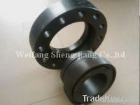 ANSI Swivel Ring Flange