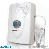 Multifunctional Ozone Generator