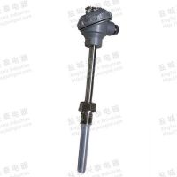 anti-corrosive thermocouple