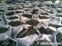 BBQ Charcoal | Exporter - Bulk - Best Price