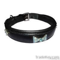 Leather Dog Collar & Lead