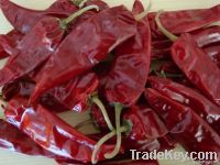 Chinese Dried Red Chilli/Pepper