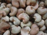 Dried Cashew Nuts | Pistach...
