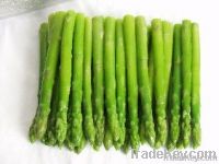 Frozen Fresh Green Asparagus