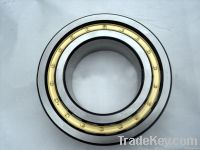 cylindrical roller bearings